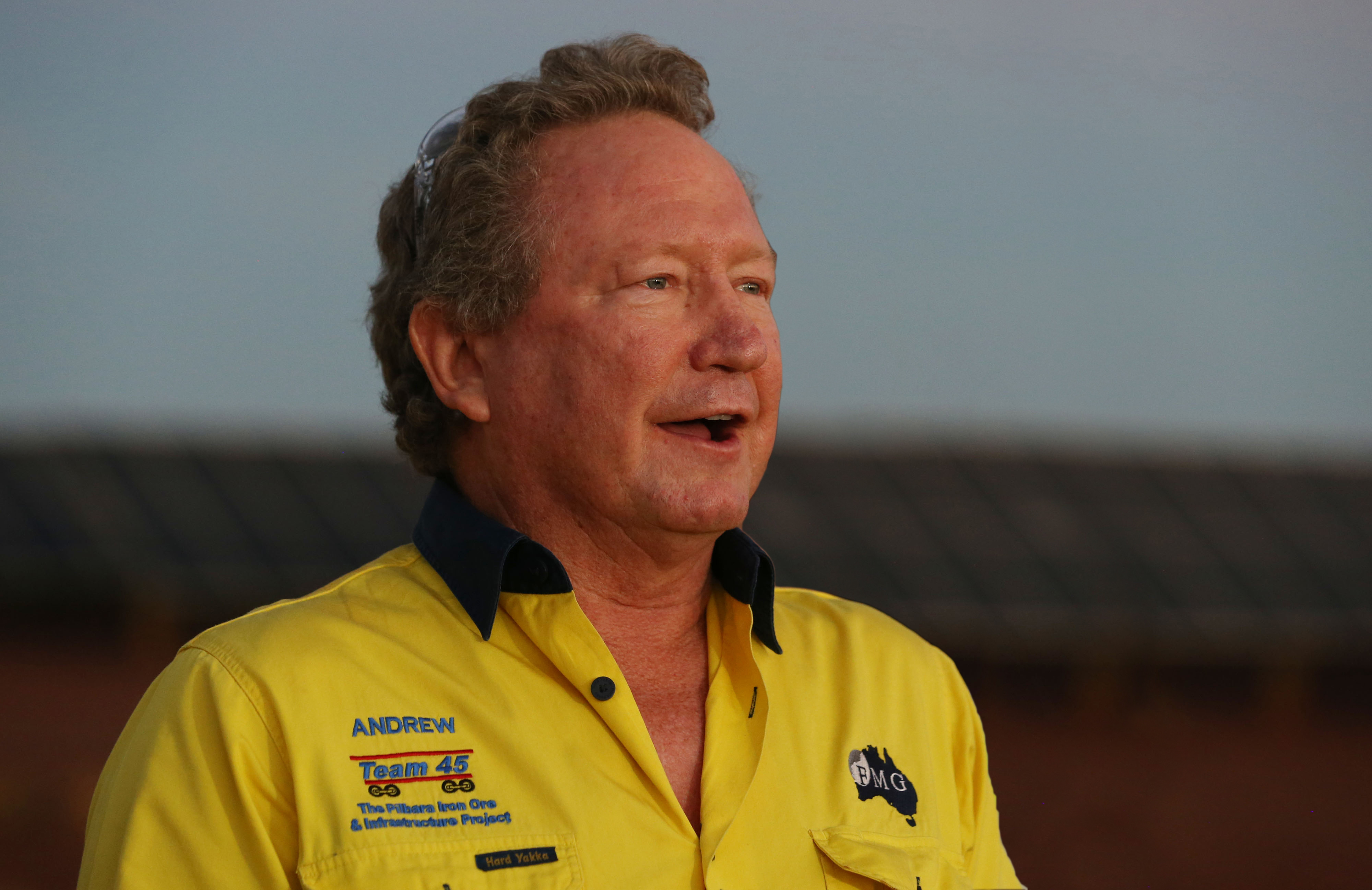 Austraian Iron Ore Magnate Andrew Forrest Pushes for New 'Decarbonisation' Plan - Vimarsana News