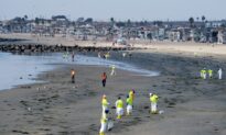 US Coast Guard Reports Oil Cleanup Done, Shoreline Back to Normal Condition