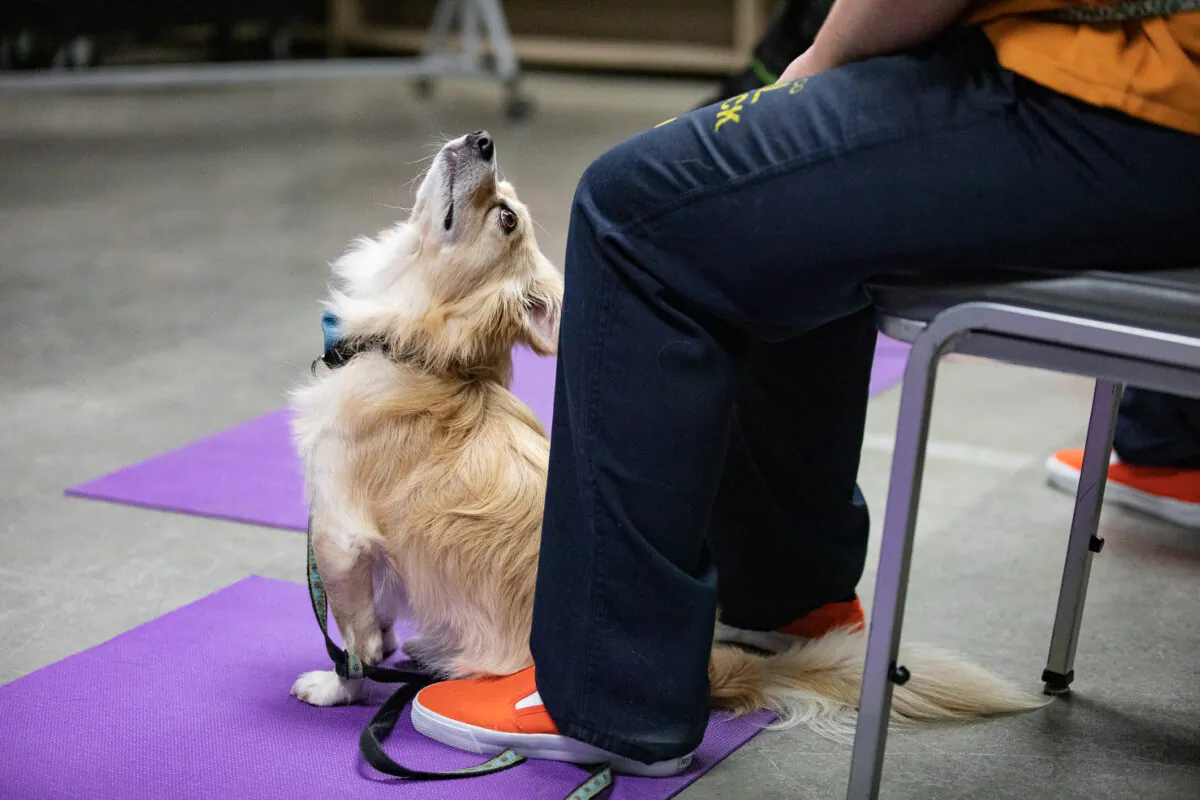 Three female inmates complete a dog training program at Theo Lacy Facility in Orange, Calif., on Oct. 7, 2021. (John Fredricks/The Epoch Times)