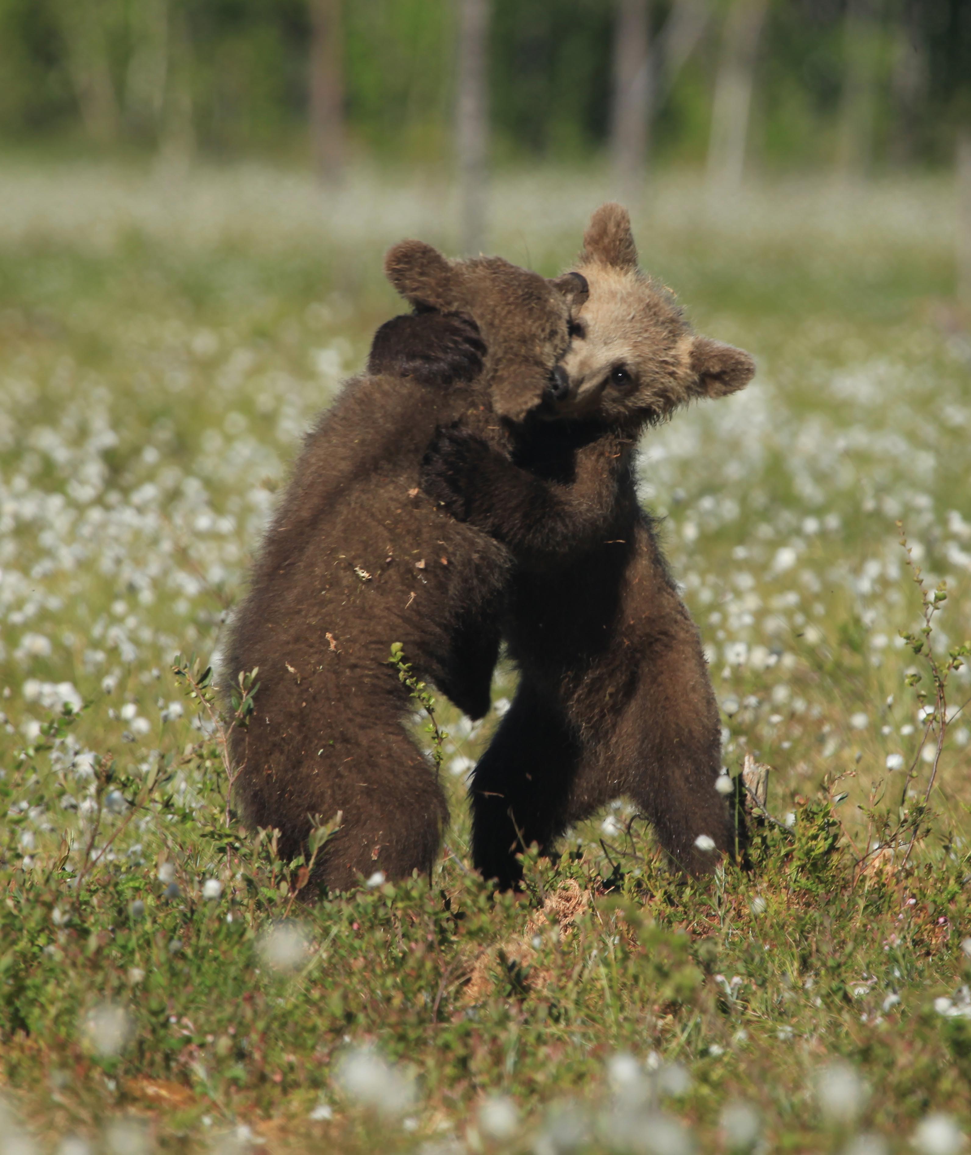 Epoch Times Photo