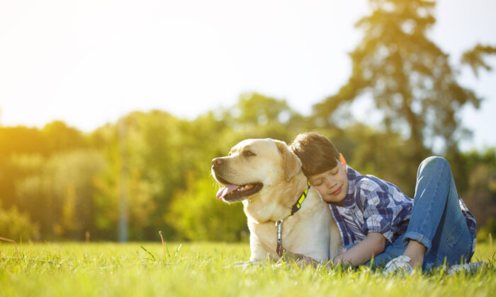 Having a pet teaches kids some important life lessons, such as responsibility. (Nestor Rizhniak/Shutterstock)