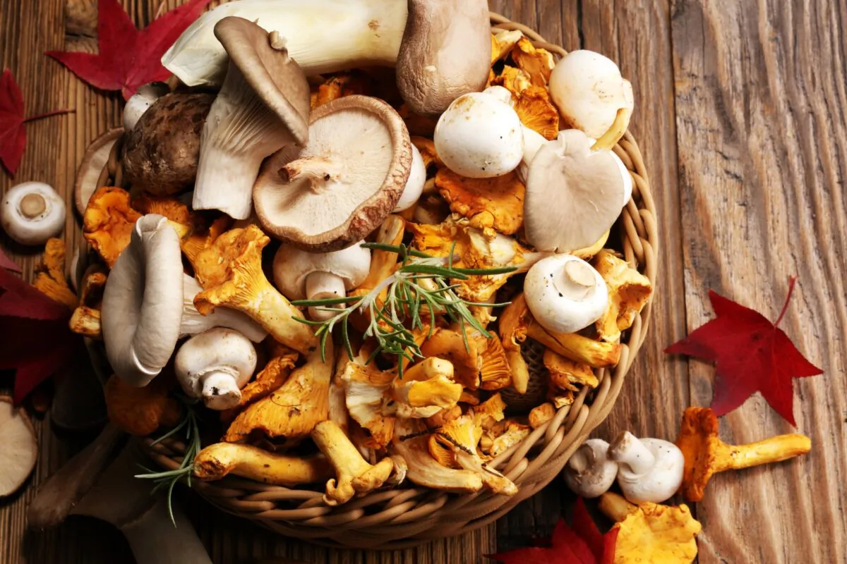 Stretch the flavor of your precious wild mushrooms with this compound butter. (beats1/shutterstock)