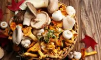 Wild Mushroom Butter
