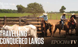 Brazil: Traveling Conquered Lands