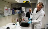 Energy From Bogs: Estonian Scientists Use Peat to Make Batteries