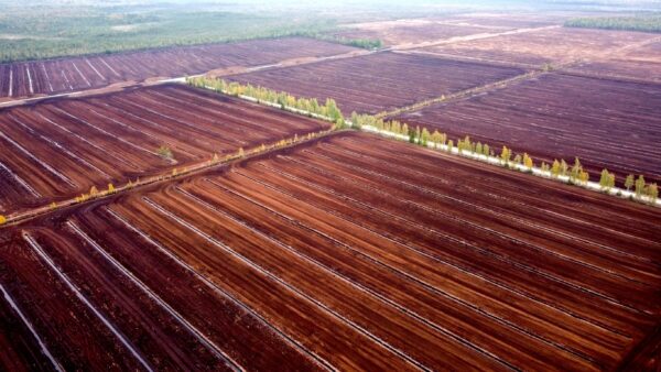 An aerial view of peat fields