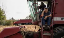 ‘Desperate for Tires’: Components Shortage Roils US Harvest