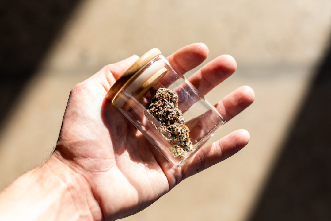 Cannabis samples in Santa Ana, Calif., on Feb. 18, 2021. (John Fredricks/The Epoch Times)