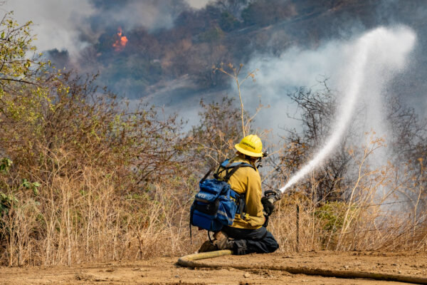 Epoch Times Photo