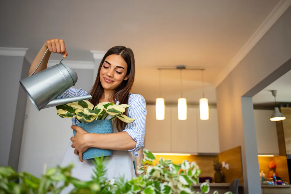 It's best to bring in outdoor plants while the outdoor and indoor temperatures are close to the same, rather than waiting until the last minute, so plan accordingly. (Dragana Gordic/Shutterstock)