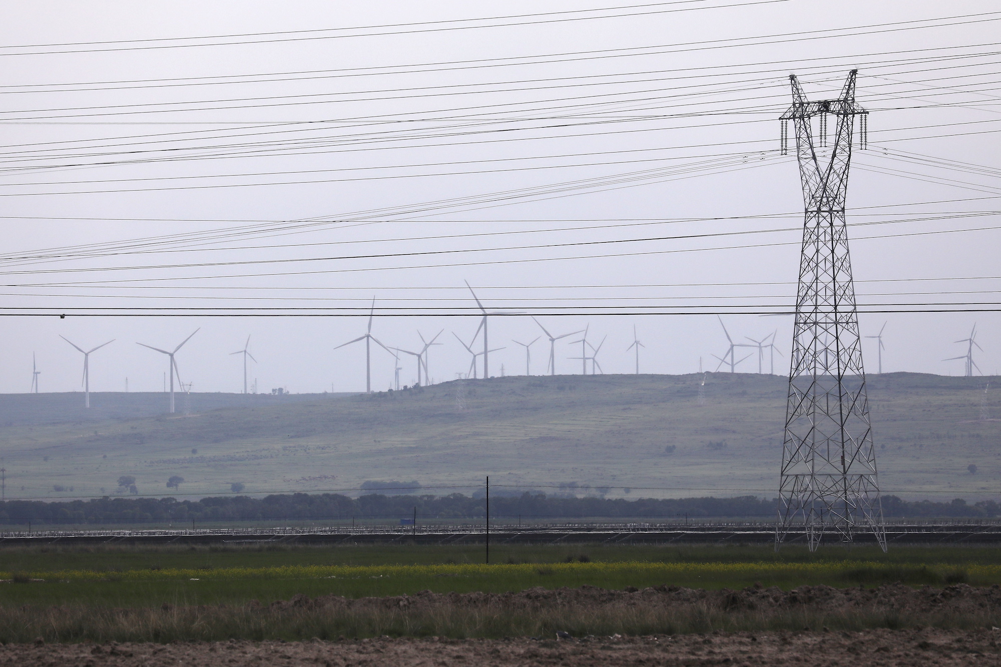 European Business Group Says China Power Cuts Poorly Communicated - Vimarsana News