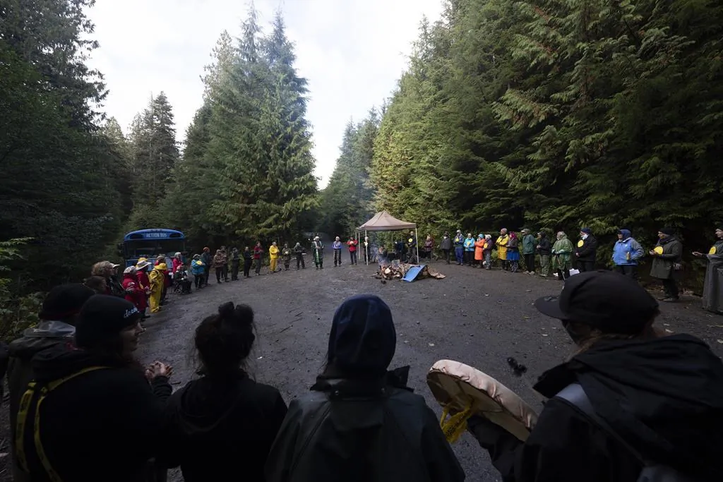 Elders for Ancient Forests along with people declaring themselves "land defenders" take part in a peace circle along a logging road in the Fairy Creek logging area near Port Renfrew, B.C., Oct. 5, 2021. (The Canadian Press/Jonathan Hayward )
