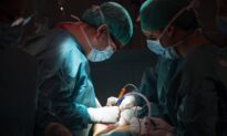 Senate Committee Investigation Finds US Organ Transplant Network Failing, Endangering Lives