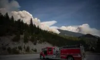 TSB to Release Report Into Possible Link Between Rail and Wildfire in Lytton, B.C.