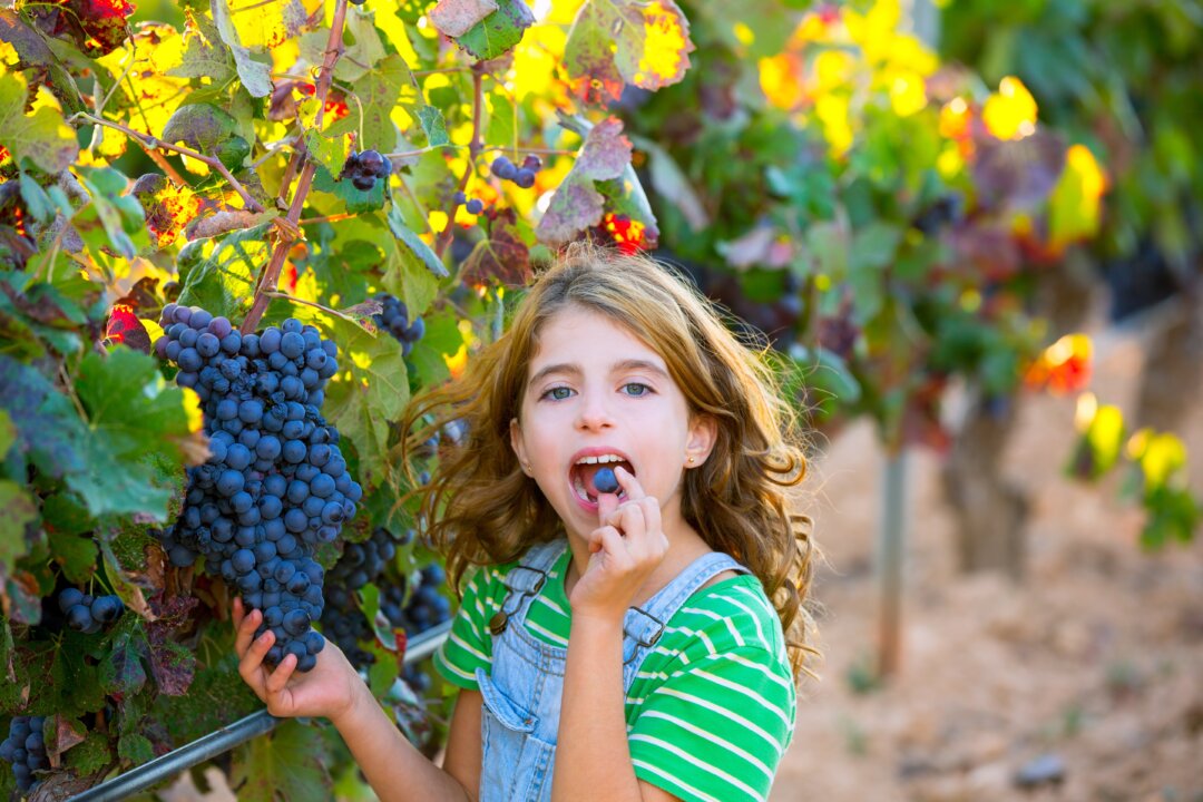 Experiment with eating
different vegetables, and you’ll find the ones you like. (lunamarina/Shutterstock)
