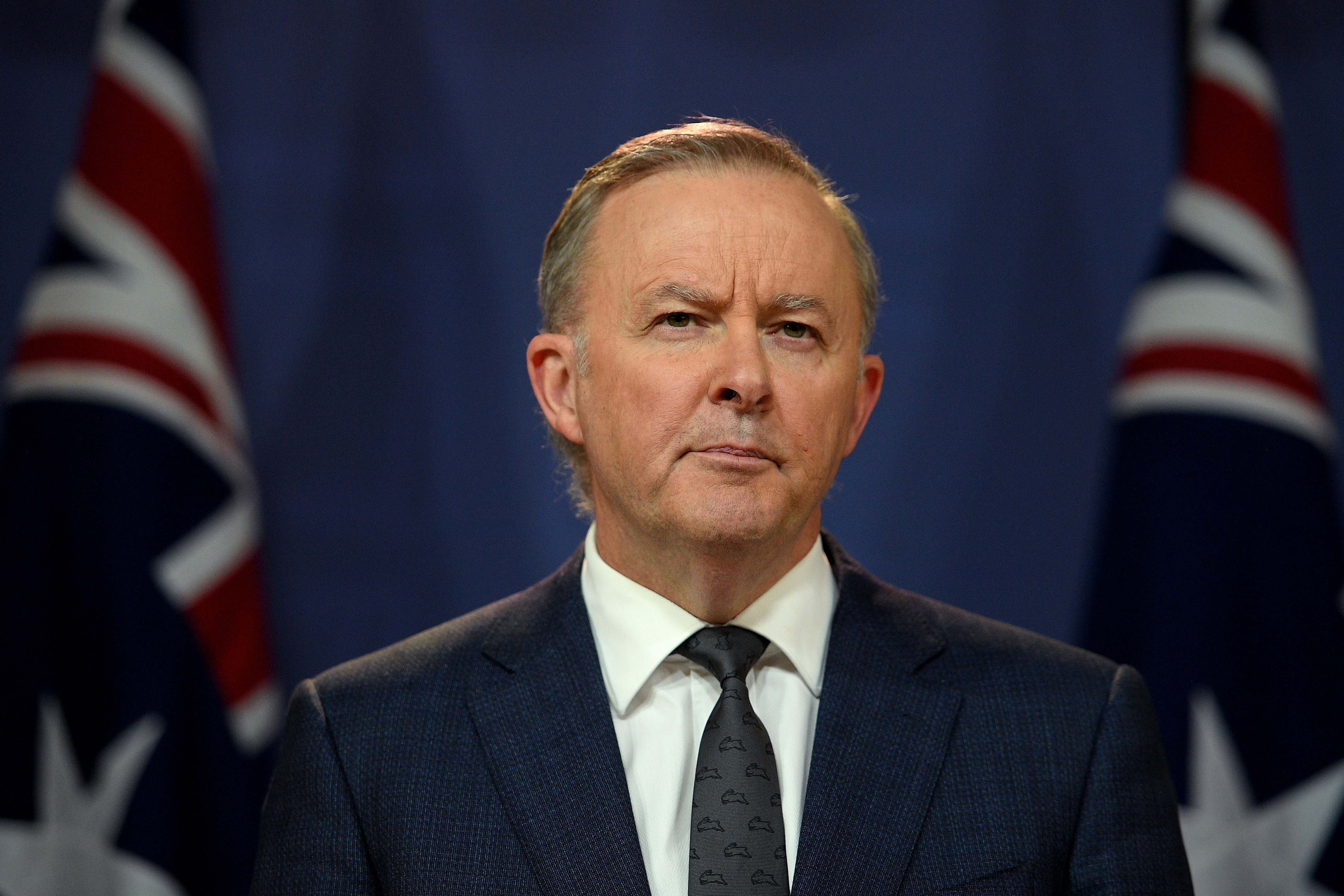 Labor Party Confusion Over Live Export Policy Throws Industry Into Disarray - Vimarsana News