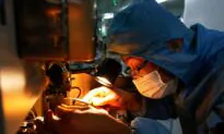 Chip Shortages and Supply Chain Woes Will Last Through 2022, Business Figures Say