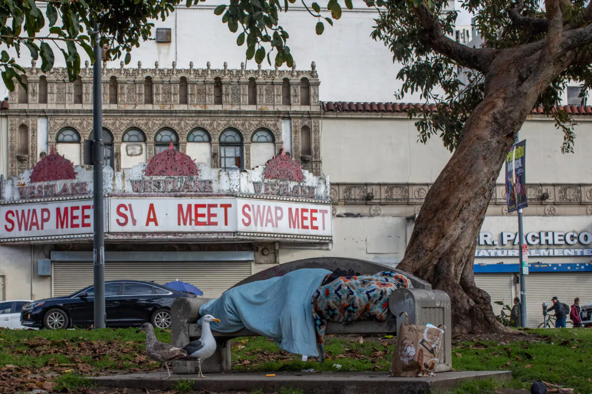 A homeless person sleeps at MacArthur Park Los Angeles, California on March 19, 2020. (Apu Gomes/AFP via Getty Images)