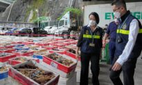 Hong Kong Seizes Smuggled Australian Lobsters Amid China Ban