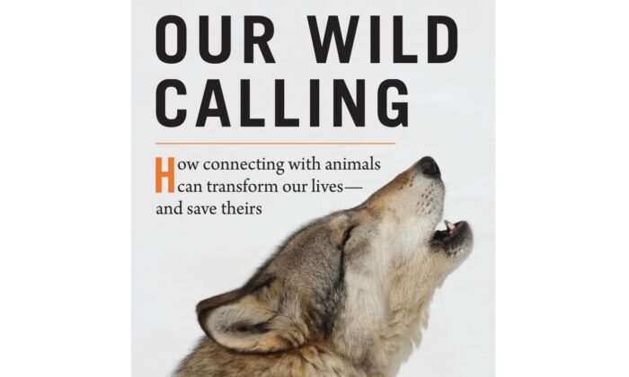 “Our Wild Calling”
by Richard Louv. Algonquin Books of Chapel Hill, 2019.