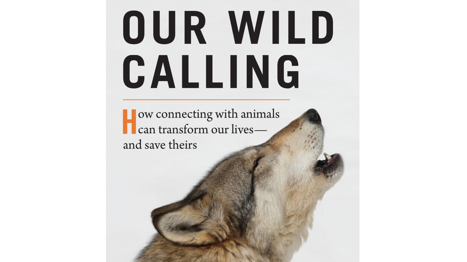 Book Review: 'Our Wild Calling' - Vimarsana News
