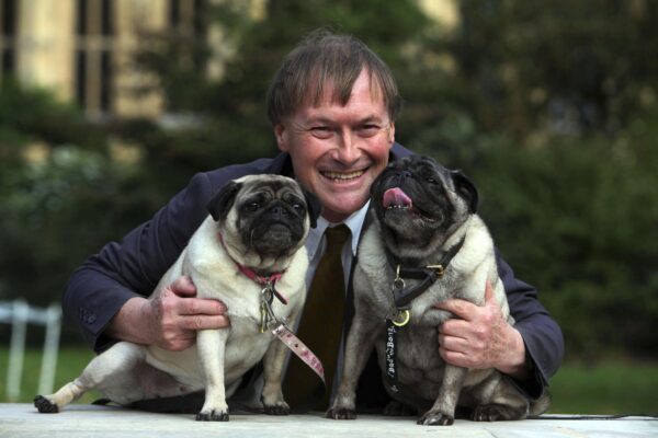 Conservative MP David Amess with his pugs Lily and Boat at the Westminster Dog of the Year competition at Victoria Tower Gardens in London on Oct. 10, 2013. (Geoff Caddick/PA via AP)