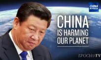 Examining Beijing’s Role in Environmental Damages
