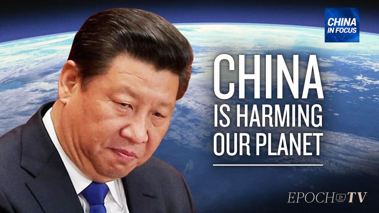 Examining Beijing's Role in Environmental Damages - Vimarsana News