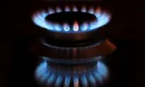 EU Countries Split Over Joint Response to Energy Price Spike