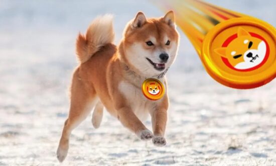 Whales Buy Millions of Dollars Worth of SHIB, as Shiba Inu Prepares to Breakout