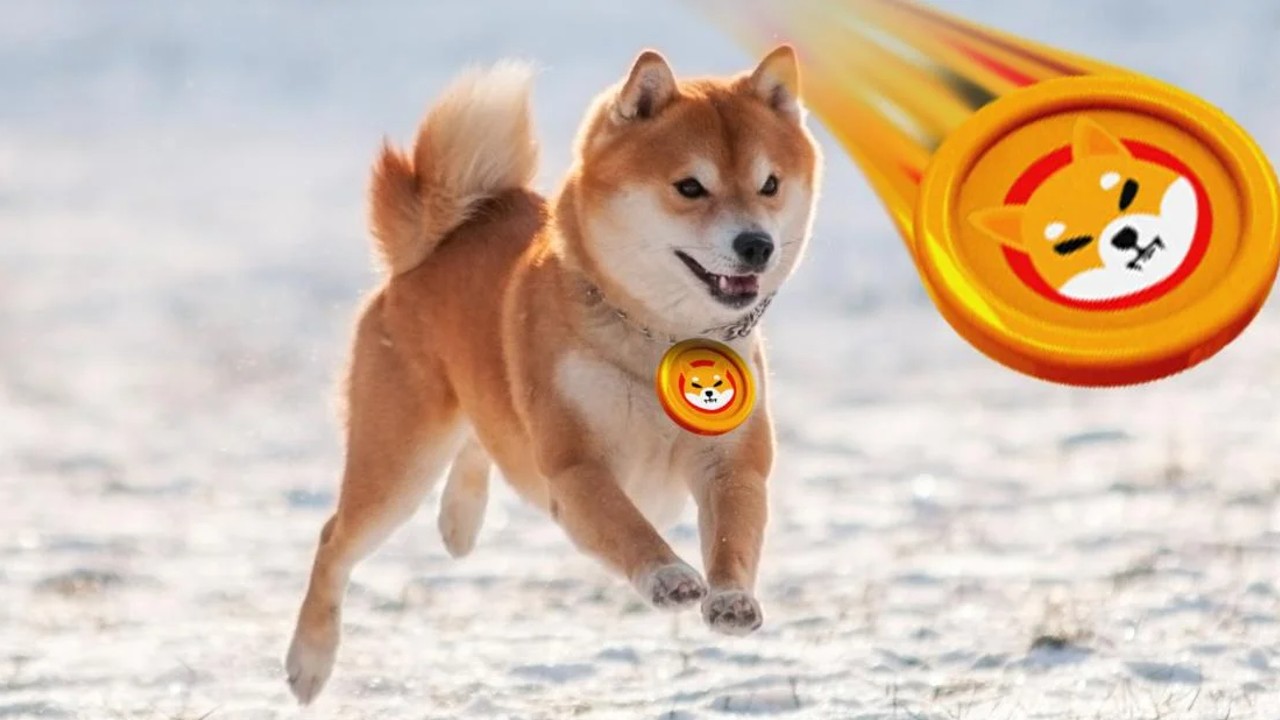 Whales Buy Millions of Dollars Worth of SHIB, as Shiba Inu Prepares to Breakout - Vimarsana News
