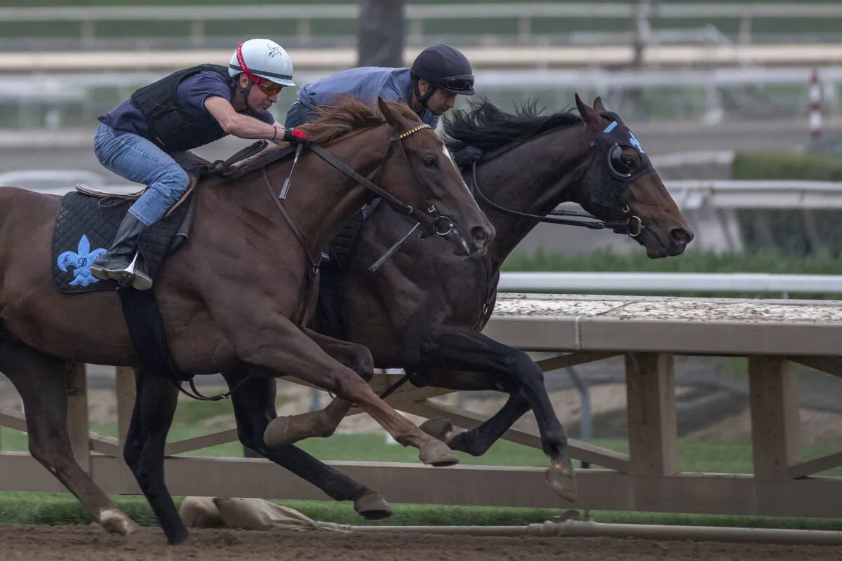 Race horses are seen during their morning workout at Santa Anita Park racetrack in Arcadia, Calif., on June 15, 2019. (David McNew/Getty Images)