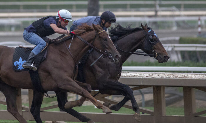 Race horses are seen during their morning workout at Santa Anita Park racetrack in Arcadia, Calif., on June 15, 2019. (David McNew/Getty Images)
