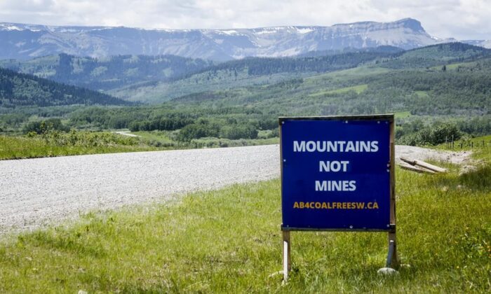 A sign opposing coal development in the eastern slopes of the Livingston range south west of Longview, Alta., June 16, 2021. ( Canadian Press/Jeff McIntosh)