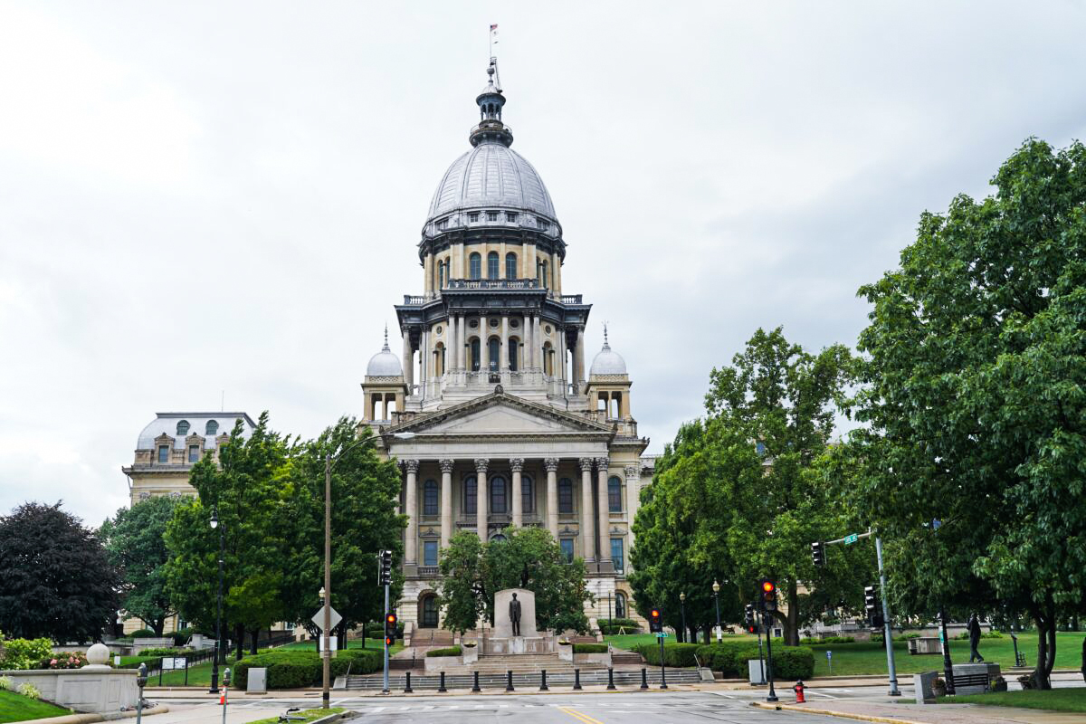 Illinois Democrat to Lose Committee Chair Following Domestic Violence Allegations - Vimarsana News