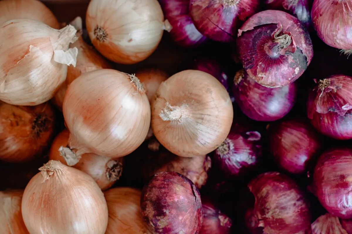 Onions. (Sincerely Media/Unsplash)