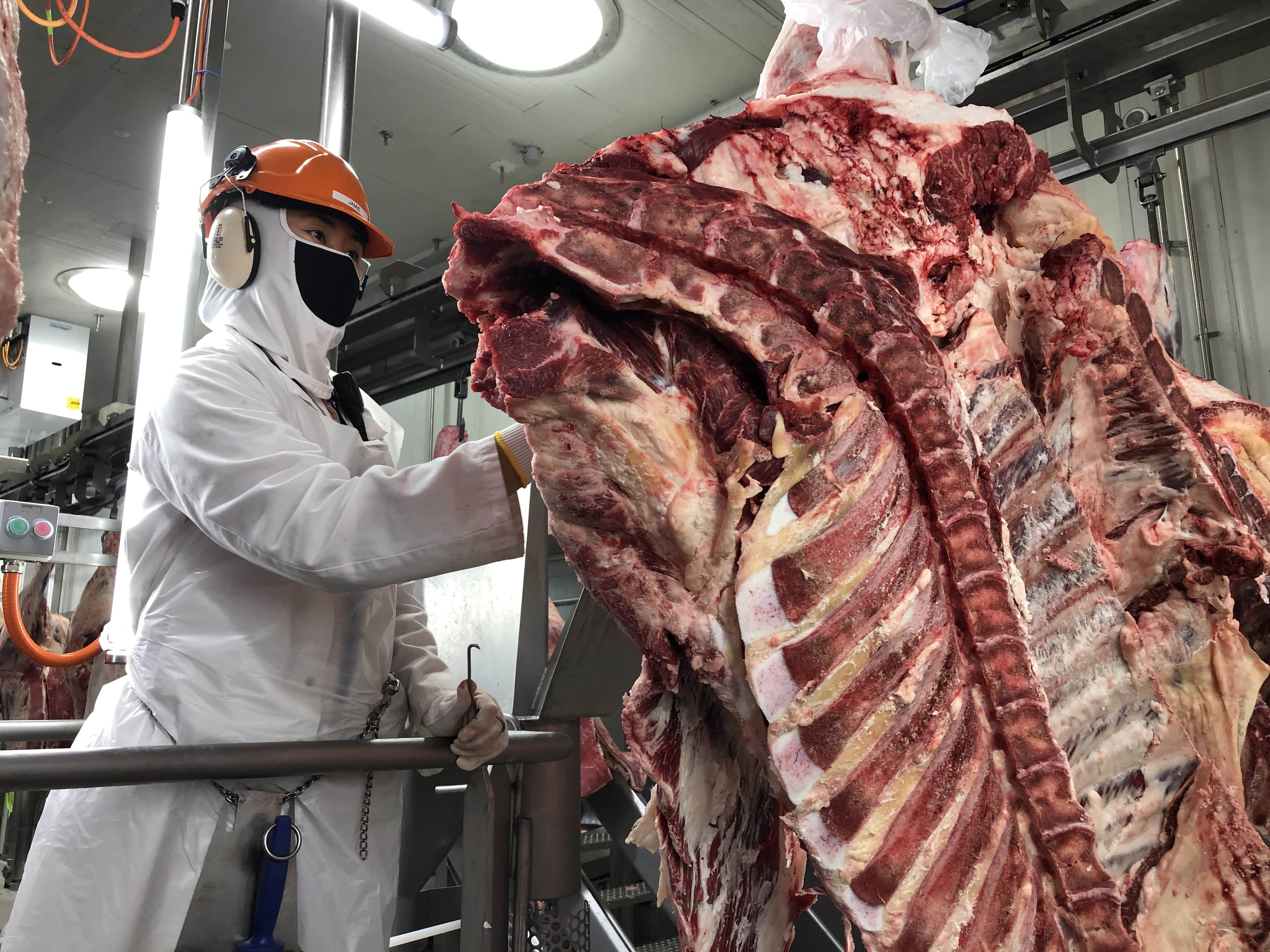 Ninth Australian Abattoir Suspended from Exporting to China - Vimarsana News