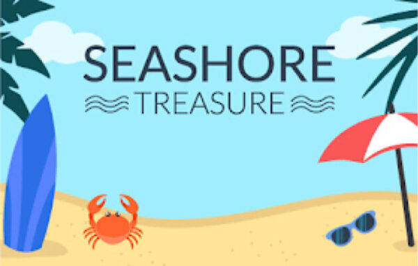 Seashore Treasure