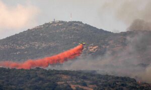 Syria Executes Dozens Over Deadly Human-Sparked Wildfires