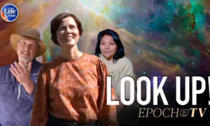 Look Up! How Our Connections to the Stars and Nature Benefit Our Past, Present, and Future