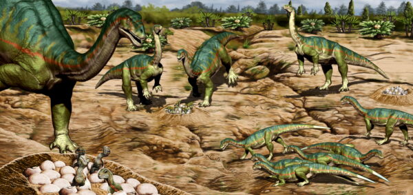 a herd of the Jurassic Period Patagonia dinosaur
