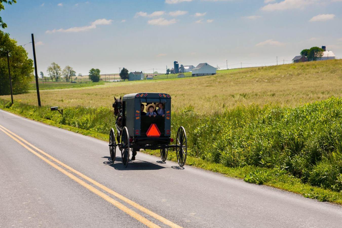 buggy_countryside