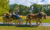 Lancaster, Pennsylvania: Good Food, Art, and Culture