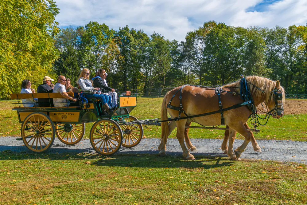 Visitors ride in a horse-drawn wagon at the Landis Valley Farm Museum during the annual Harvest Day event. (George Sheldon/Shutterstock)