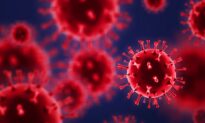 Studies Find Natural Treatments for Coronavirus