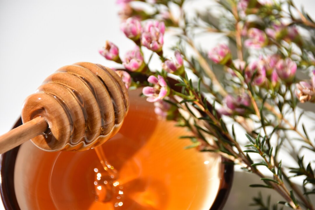Need a new mouthwash? Studies have shown manuka honey, produced by the flowers of the manuka plant that grows in New Zealand and Australia, is as effective as a common germicidal mouthwash. (Liga Cerina/Shutterstock)