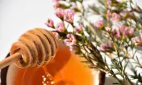 5 Amazing Healing Honey Facts