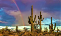 Old West Meets Modern Chic in Scottsdale, Arizona