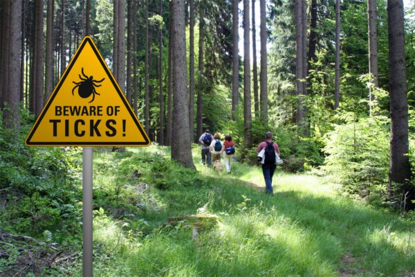 Beware of ticks sign beside a grassy trail