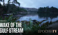 In the Wake of the Gulf Stream